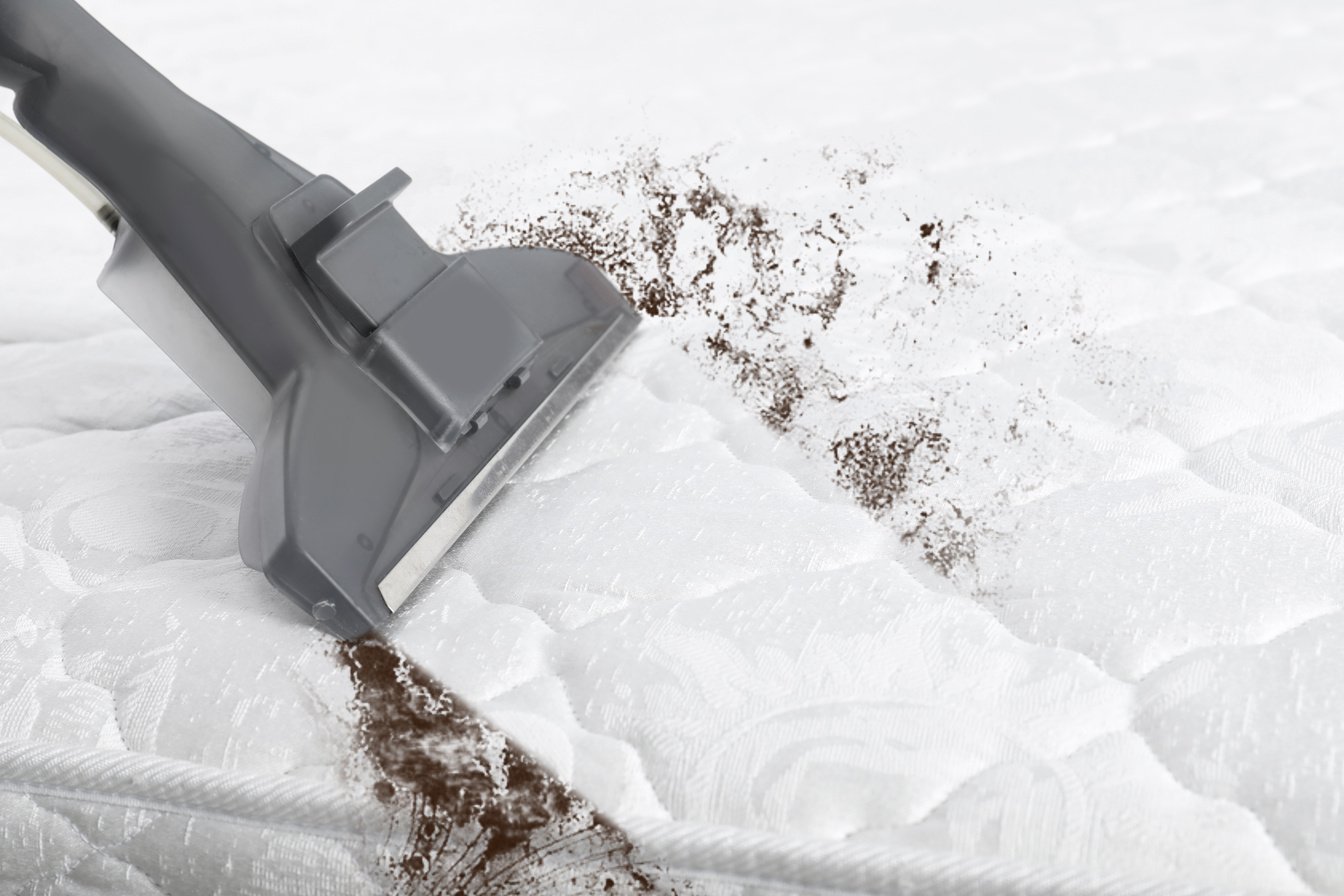 Using Modern Vacuum Cleaner for Mattress Disinfection, Closeup.